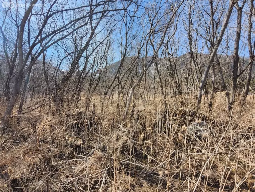 Участок в Майминский район, село Усть-Муны (10 м) - Фото 1