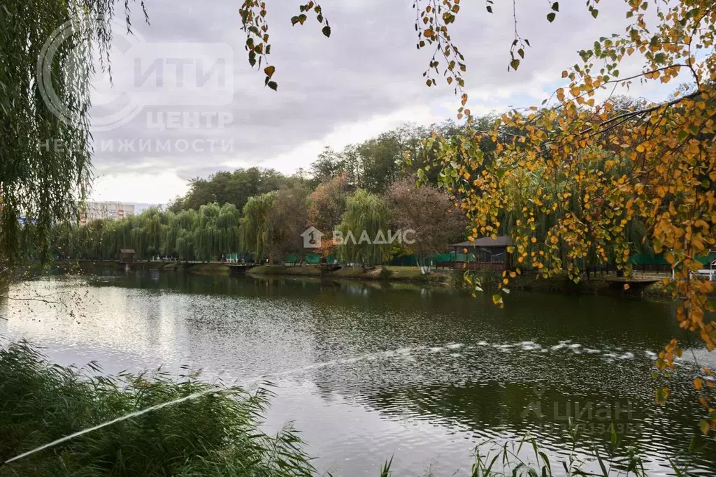 Участок в Воронежская область, Воронеж Лазурит-Тепличный ДНТ, ул. ... - Фото 1