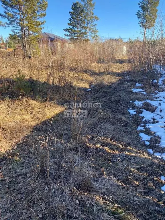 Участок в Иркутская область, Иркутский муниципальный округ, Маркова рп ... - Фото 1