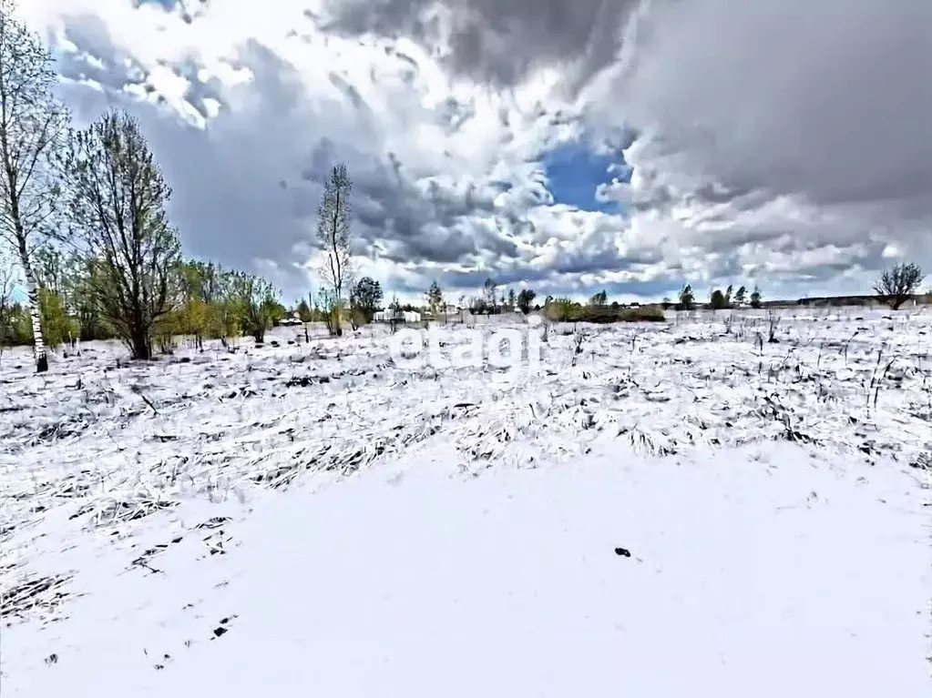 Участок в Смоленская область, Смоленский муниципальный округ, д. Новые ... - Фото 1