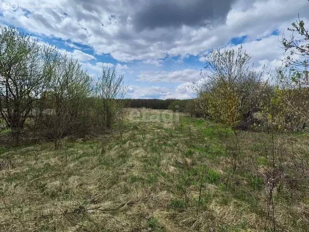 Участок в Яковлевский городской округ, хутор Калинин (15 м) - Фото 0