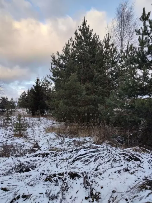 Участок в Московская область, Раменский муниципальный округ, д. Минино ... - Фото 1