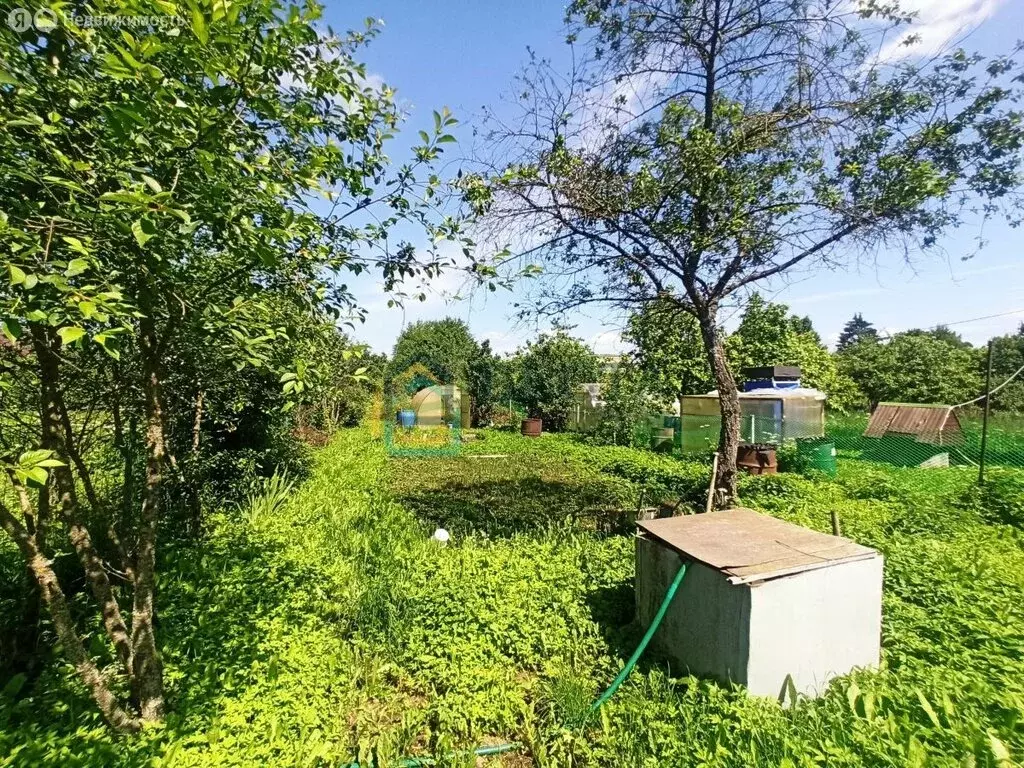 Участок в Гатчина, СНТ Солнечный Луч (8.25 м) - Фото 1
