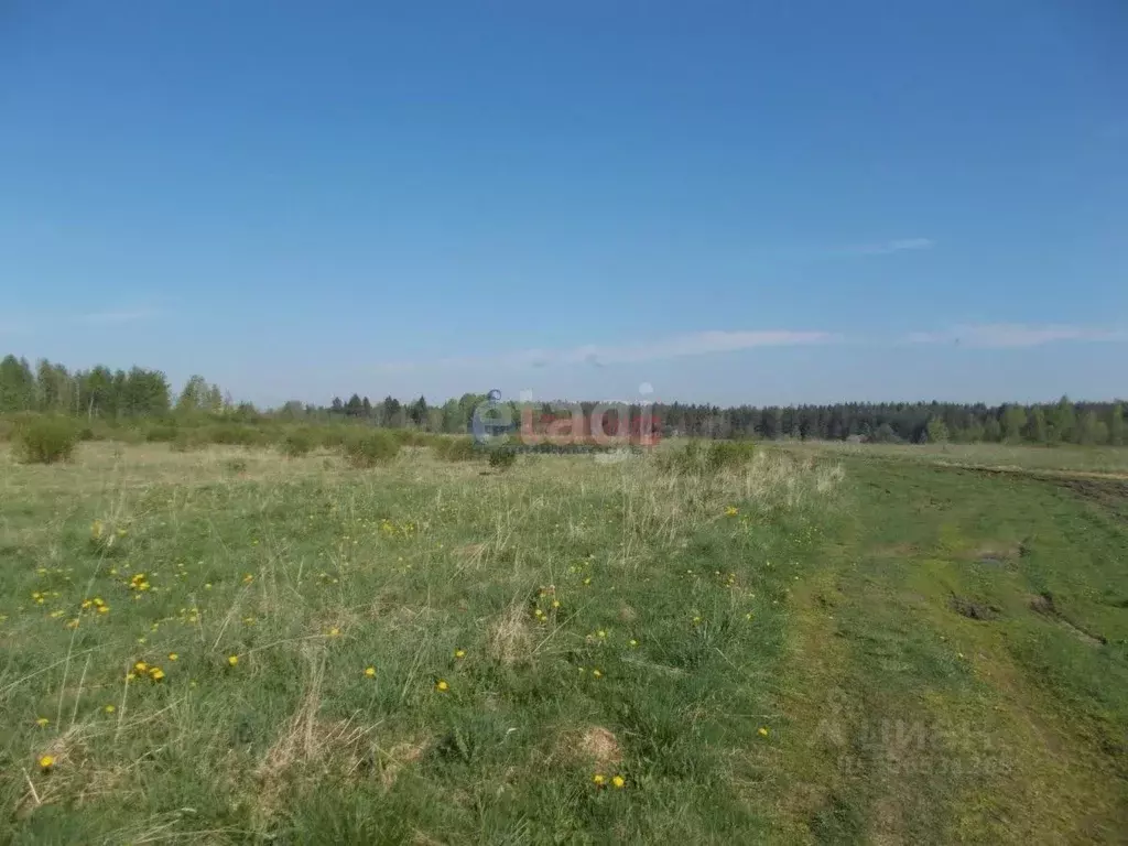 Участок в Татарстан, Тукаевский район, д. Малая Шильна  (6.49 сот.) - Фото 0