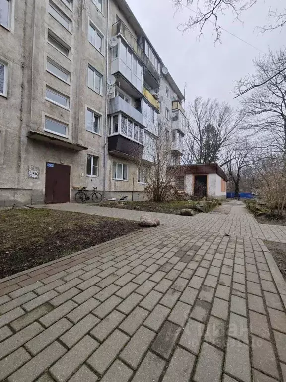 1-к кв. Калининградская область, Светлогорск пос. Отрадное, просп. ... - Фото 1