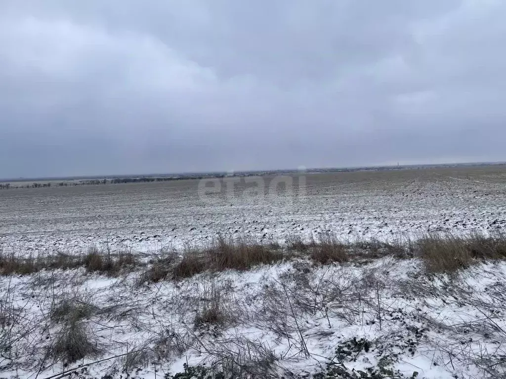 Участок в Крым, Советский район, с. Ильичево ул. Садовая (748.24 сот.) - Фото 1