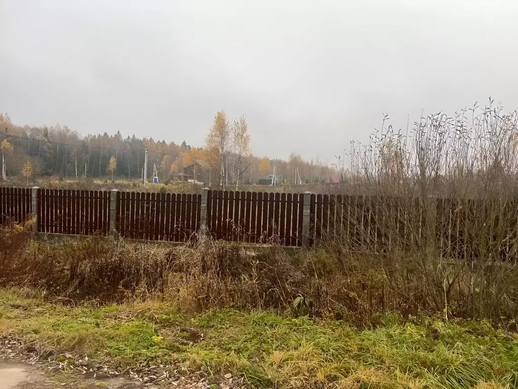 Участок в Московская область, Одинцовский городской округ, д. ... - Фото 0