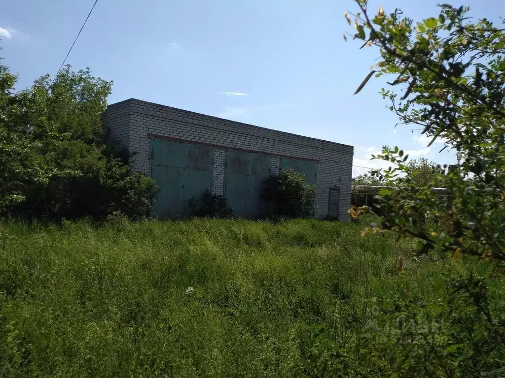 Помещение свободного назначения в Татарстан, Кайбицкий район, с. ... - Фото 1