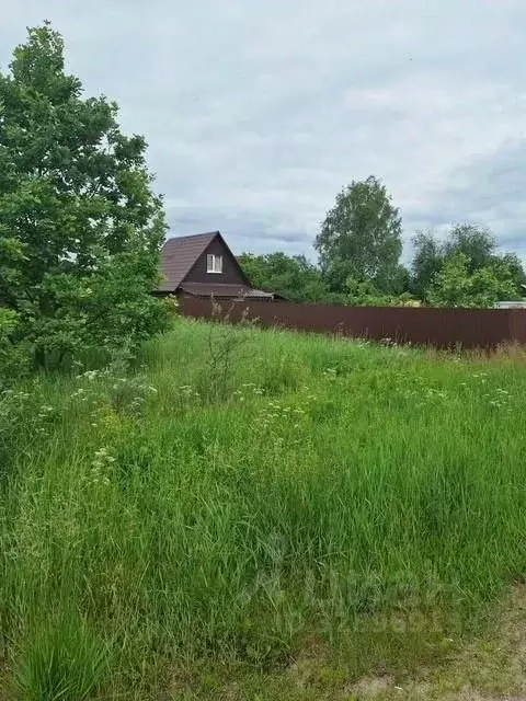Участок в Московская область, Богородский городской округ, д. Тимохово ... - Фото 2