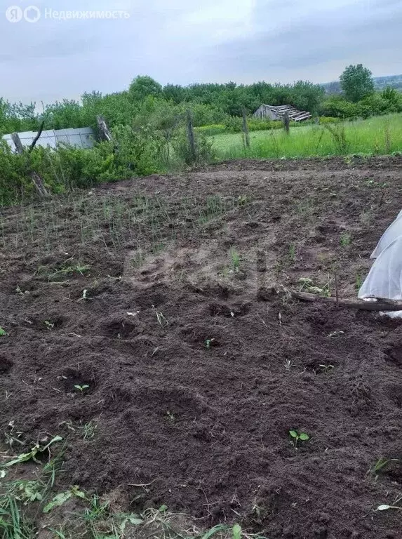 Участок в Хлевенский район, село Синдякино (10 м) - Фото 1