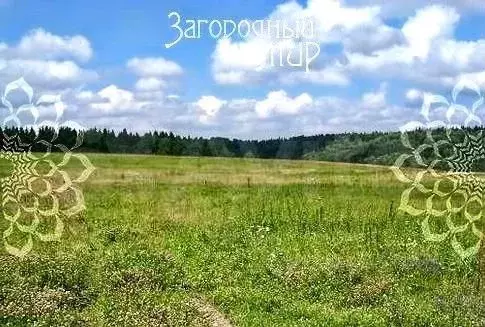 Участок 3,62 га (СНТ, ДНП) - Фото 0