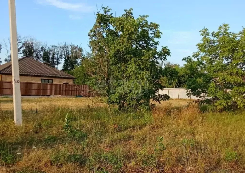 Участок в Краснодарский край, Краснодар городской округ, Ленина хут., ... - Фото 1