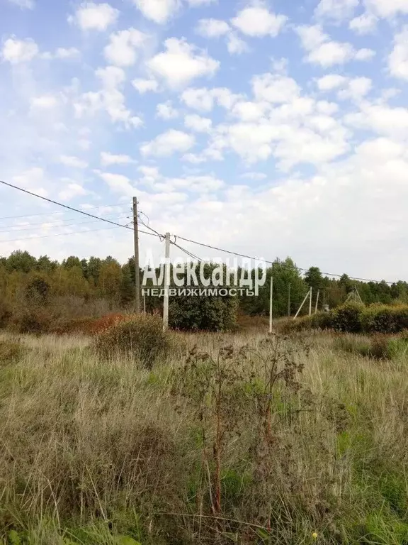 Участок в Ленинградская область, Приозерский район, Севастьяновское ... - Фото 1