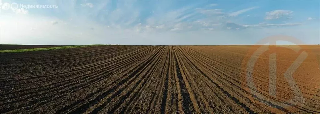 Участок в Сакский район, Молочненское сельское поселение, село ... - Фото 2