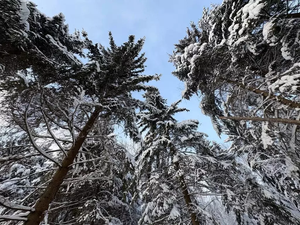 Участок в Московская область, Волоколамский муниципальный округ, ... - Фото 2