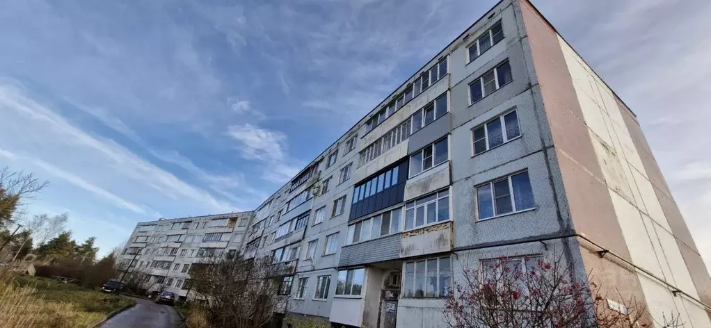 2-к кв. Псковская область, Псков Лесная ул., 11 (52.4 м) - Фото 1