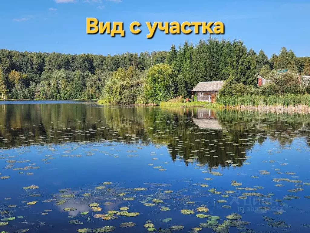 Участок в Карелия, Пряжинский район, Ведлозерское с/пос, д. Кутчезеро  ... - Фото 0