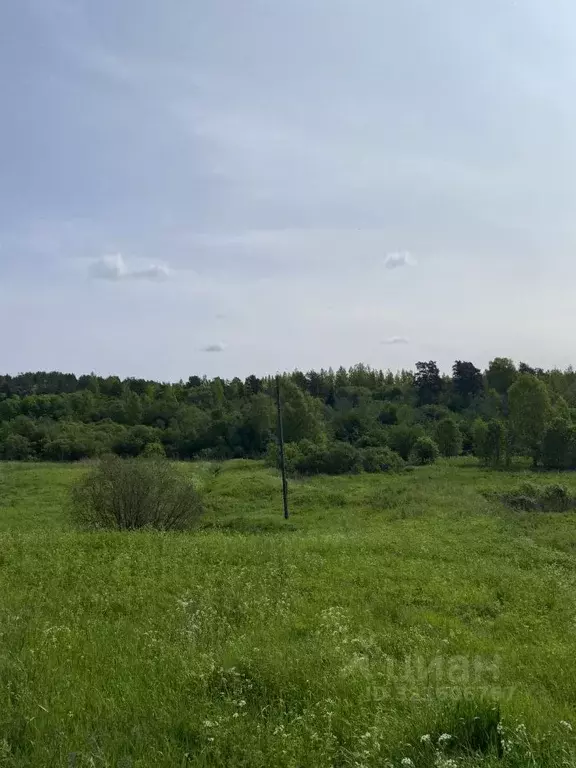Участок в Карелия, Лахденпохский муниципальный округ, пос. Терву  ... - Фото 0