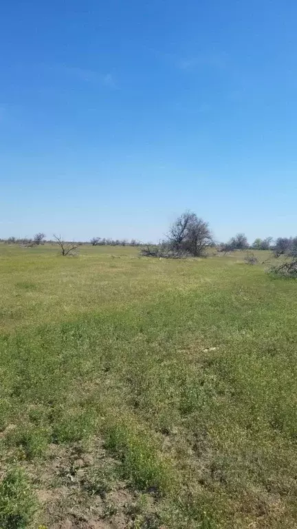 Участок в Астраханская область, Наримановский район, пос. Караагаш  ... - Фото 1