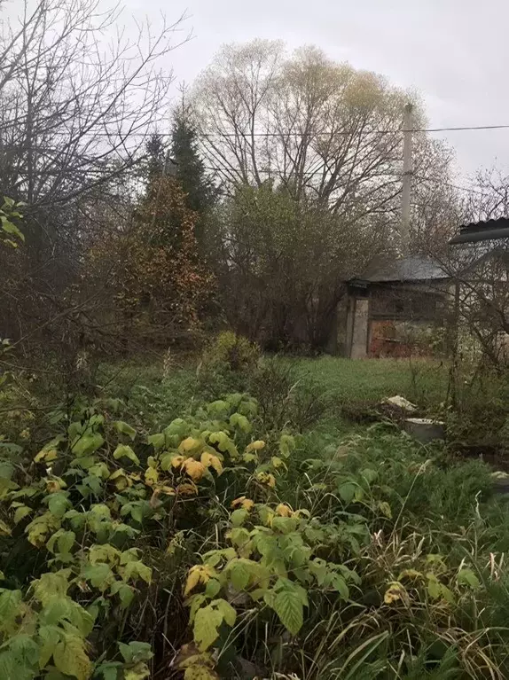 Участок в Москва д. Чегодаево, Чегодаево СНТ, 62 (5.0 сот.) - Фото 1