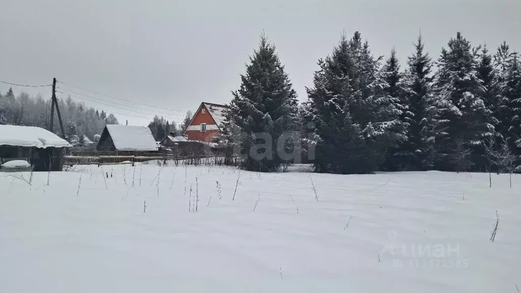 Участок в Кировская область, Кирово-Чепецкий район, Пасеговское с/пос, ... - Фото 1