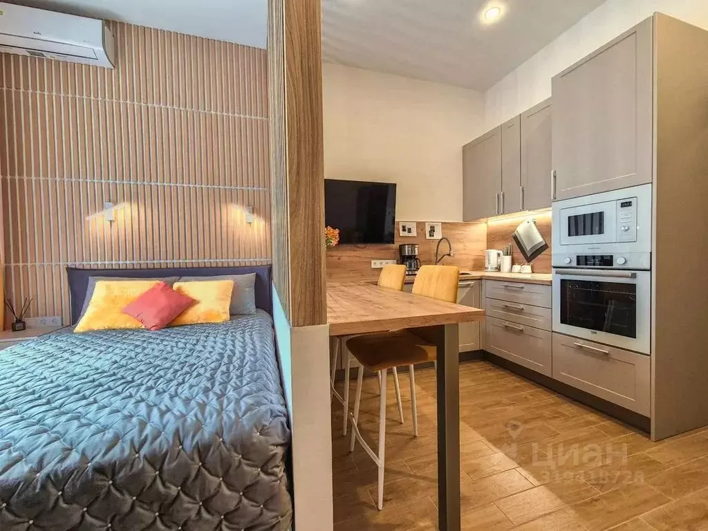 Студия Краснодарский край, Сочи ул. Искры, 88к2 (25.0 м) - Фото 0