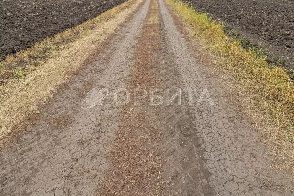 Участок в Тюменская область, Тюменский район, с. Горьковка  (9.8 сот.) - Фото 1