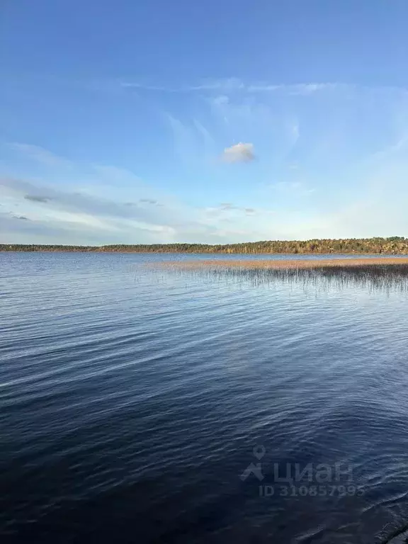 Участок в Ленинградская область, Всеволожский район, Куйвозовское ... - Фото 0