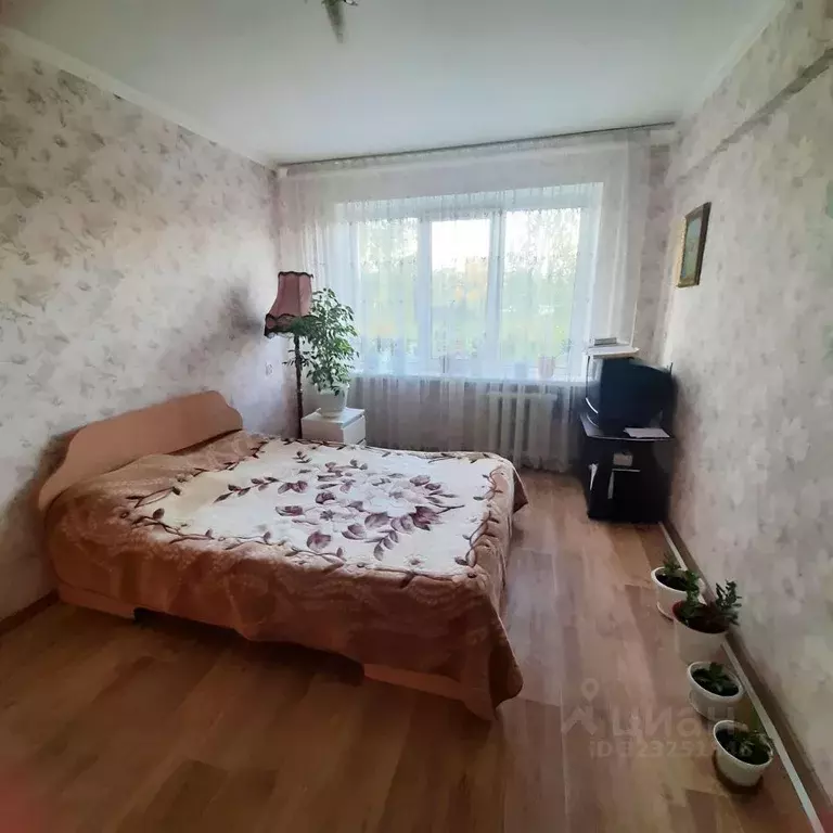 2-к кв. Брянская область, Брянск Автозаводец мкр, 8 (52.4 м) - Фото 2