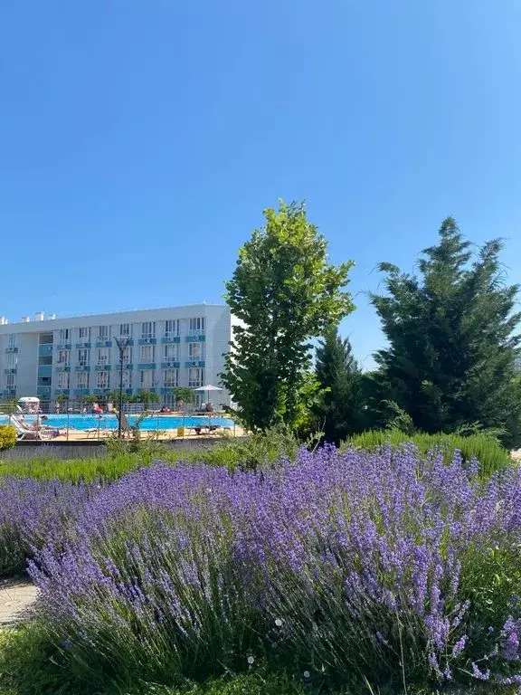 1-к кв. Севастополь ул. Челнокова, 19Ак3 (27.0 м) - Фото 0
