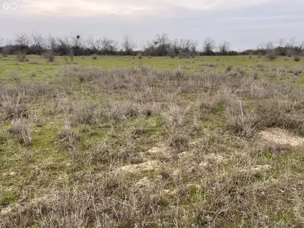 Участок в Докузпаринский район, село Авадан (10 м) - Фото 1
