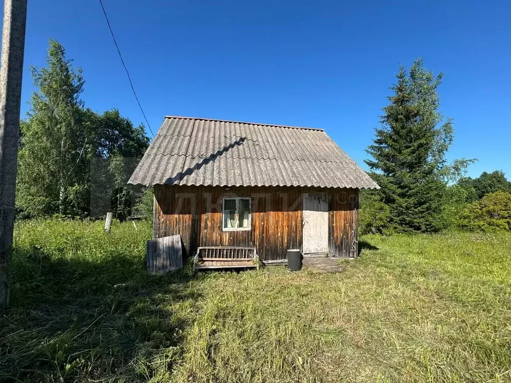 Участок в Новгородская область, Хвойнинский муниципальный округ, д. ... - Фото 1