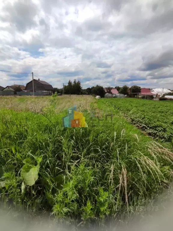 Участок в Тульская область, Тула городской округ, д. Барсуки ул. ... - Фото 0
