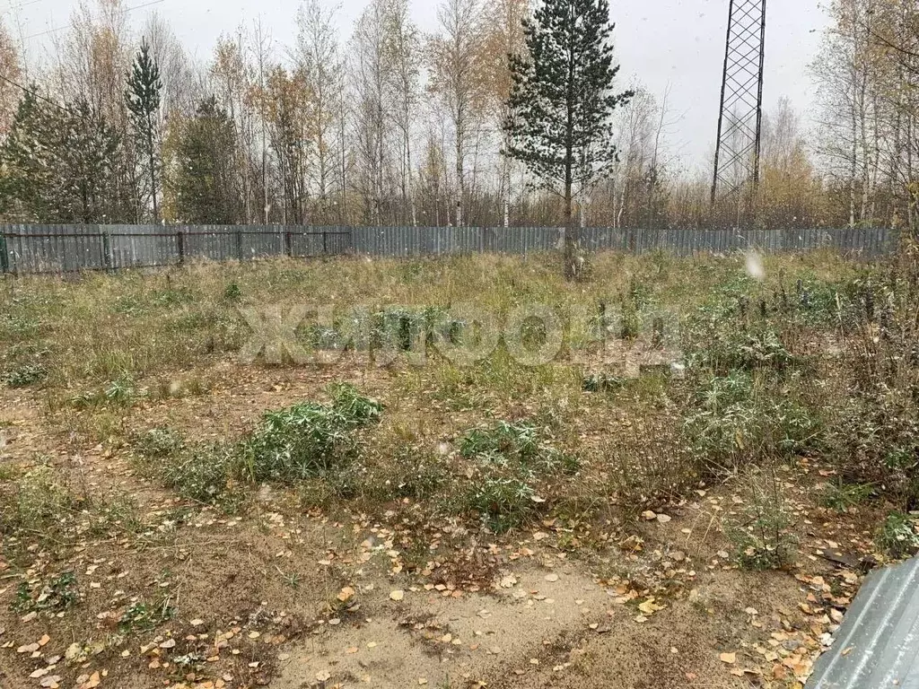 Участок в Ханты-Мансийский АО, Нефтеюганского муниципального района ... - Фото 1