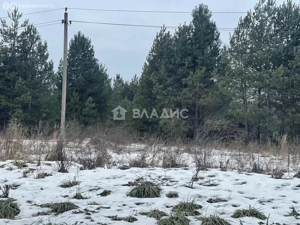 Участок в Судогодский район, муниципальное образование Головинское, ... - Фото 1