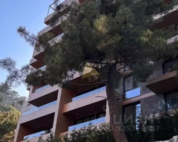 1-к кв. Крым, Ялта муниципальный округ, Гурзуф пгт ул. Геологов, 7к3 ... - Фото 1