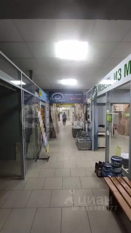 Торговая площадь в Коми, Сыктывкар ул. Морозова, 51 (33 м) - Фото 2