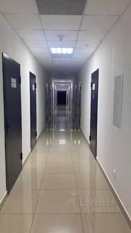 Офис в Свердловская область, Екатеринбург ул. Торговая, 5 (8 м) - Фото 0
