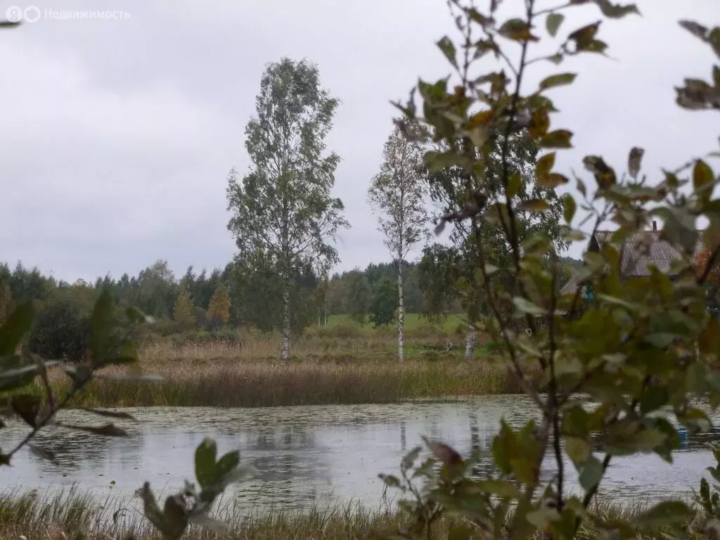 Участок в Новгородская область, Демянский муниципальный округ, деревня ... - Фото 2
