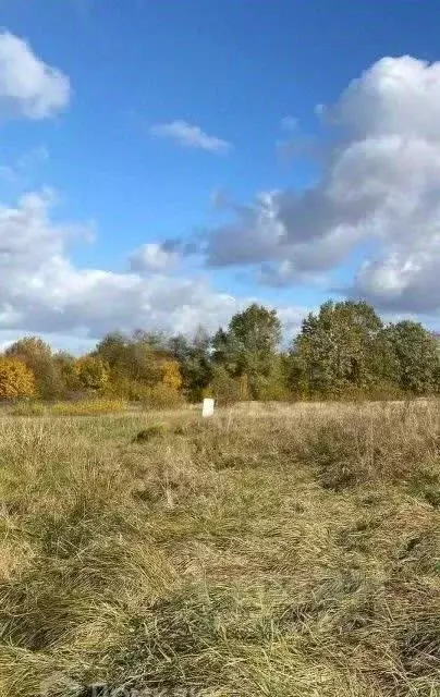 Участок в Калининградская область, Зеленоградский муниципальный округ, ... - Фото 1