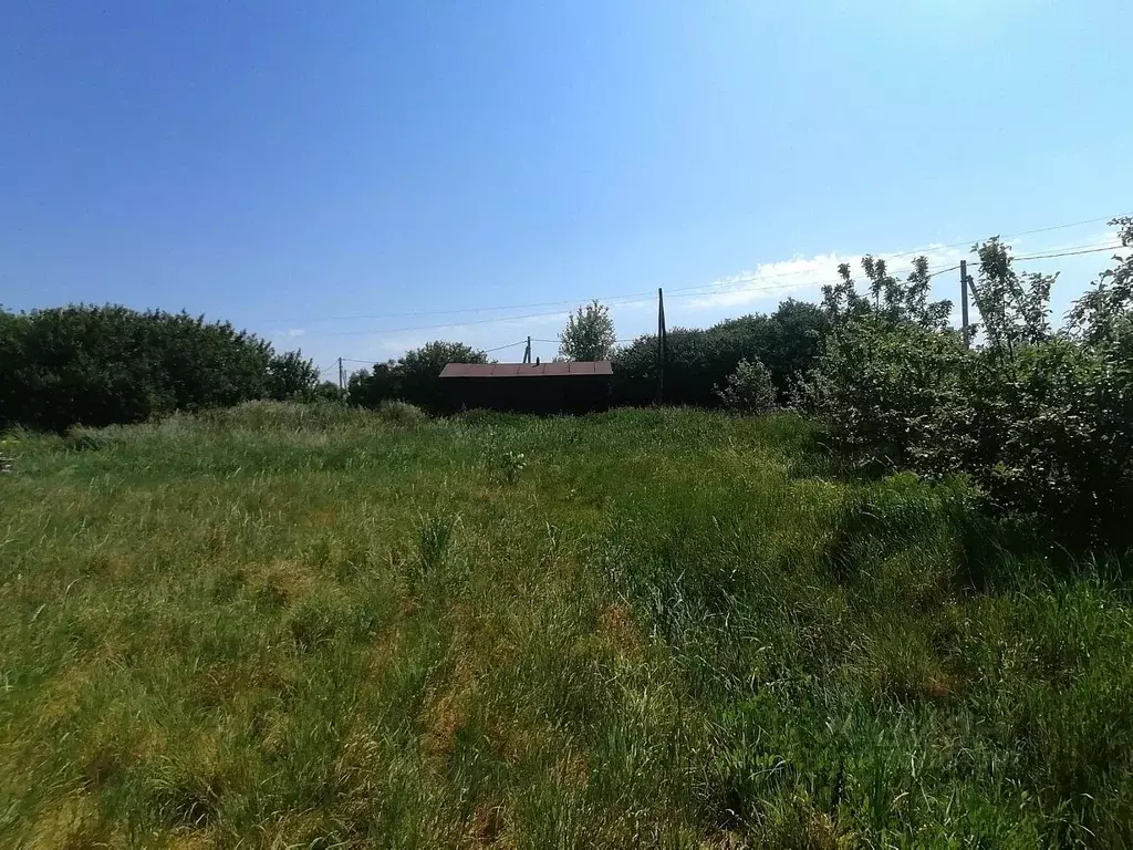 Участок в Воронежская область, Новоусманский район, ... - Фото 0