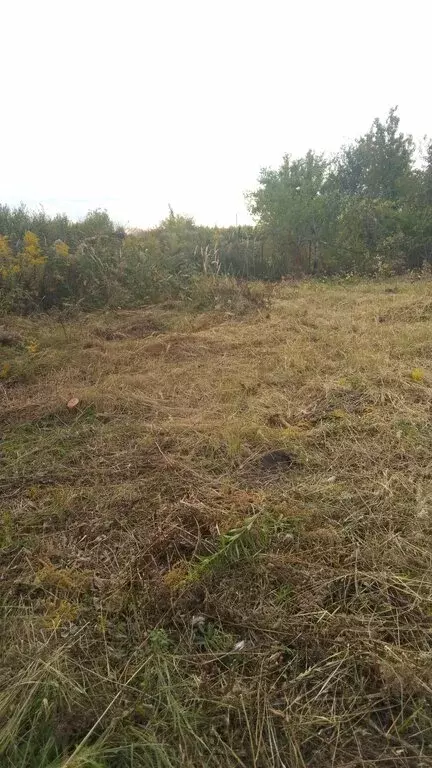 Участок в Саранск, СНТ Охотник, 19-й проезд (10 м) - Фото 1