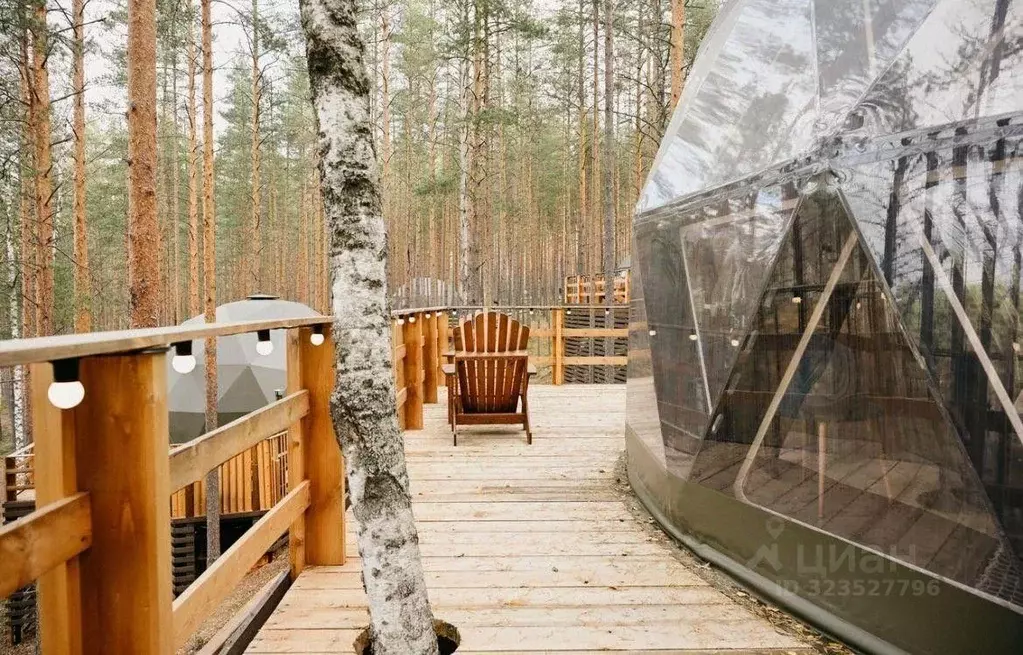 Комната Ленинградская область, Приозерский район, Красноозерное с/пос, ... - Фото 1