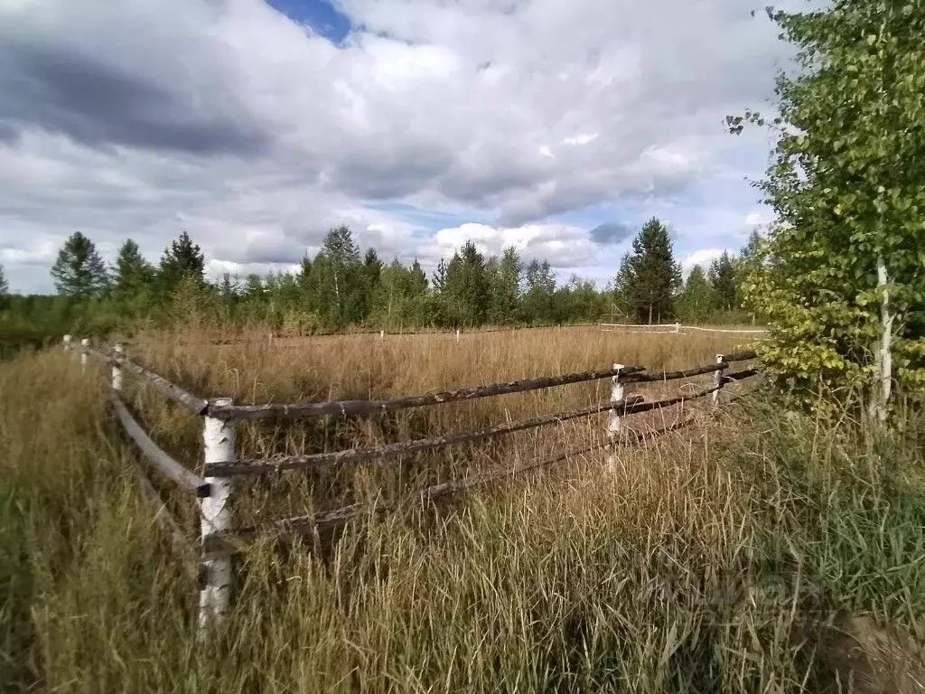 Участок в Забайкальский край, Читинский район, Электрон ДНТ 75 (16.98 ... - Фото 0
