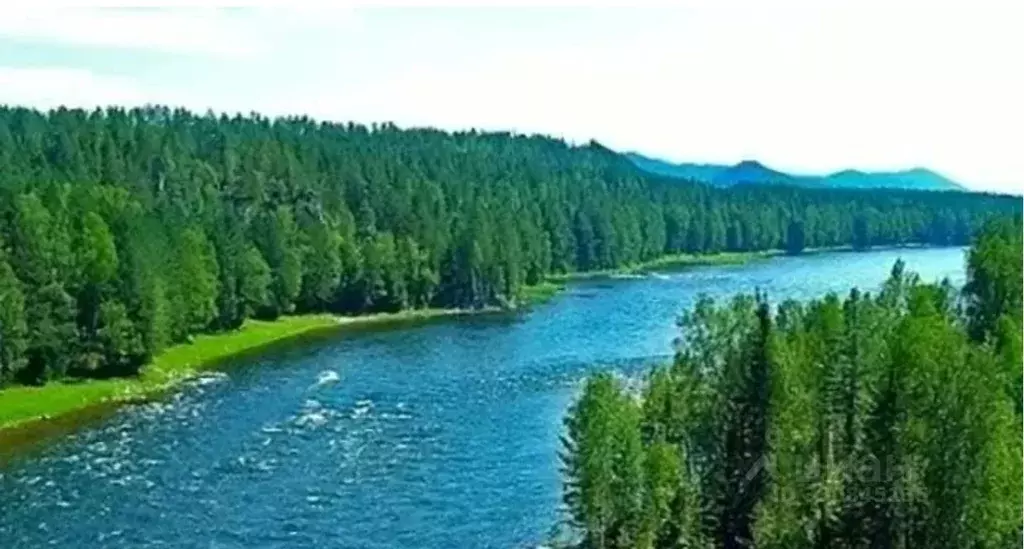 Дом в Алтай, Турочакский район, с. Кебезень ул. Заречье-Лесная (110 м) - Фото 1