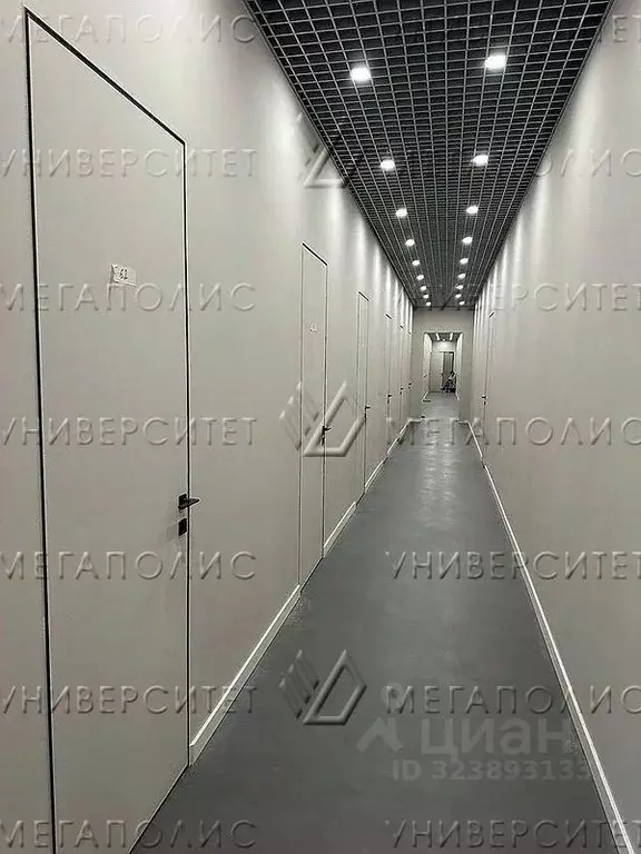 Офис в Московская область, Дедовск г. Истра муниципальный округ, ул. ... - Фото 2