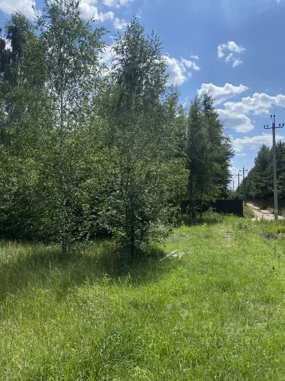 Участок в Воронежская область, Рамонский район, Айдаровское с/пос, с. ... - Фото 2