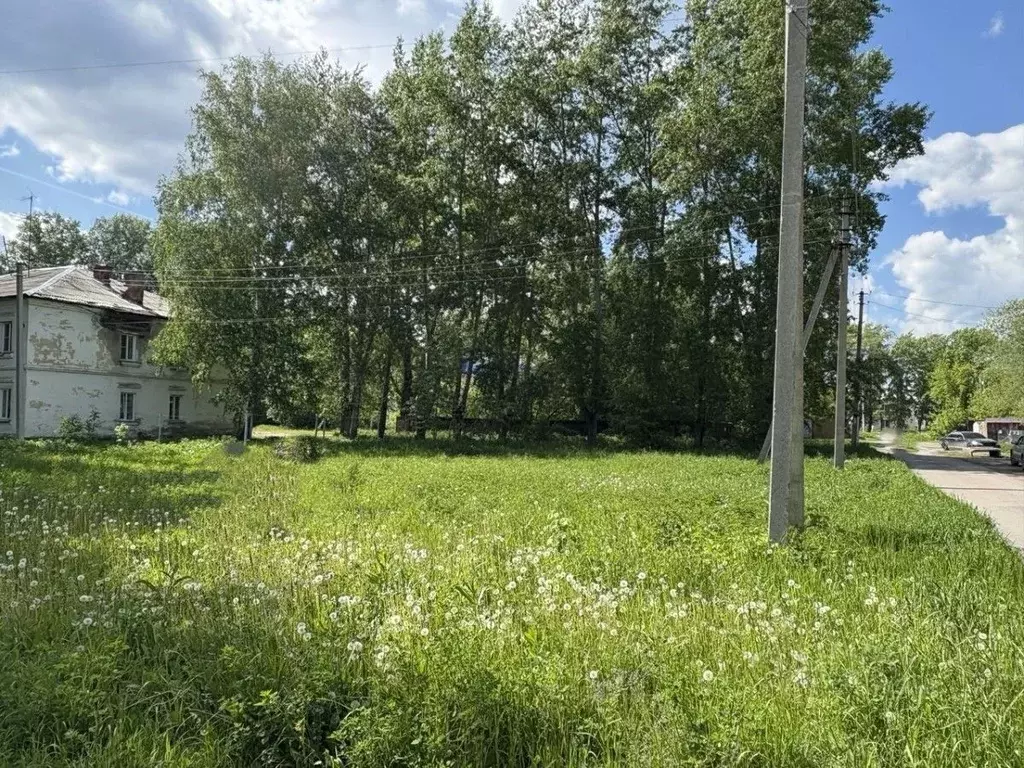 Участок в Новосибирская область, Мошковский район, с. Сокур, 1-й кв-л  ... - Фото 1