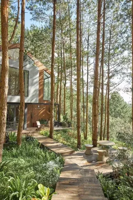 Участок в Московская область, Мытищи городской округ, пос. ... - Фото 1