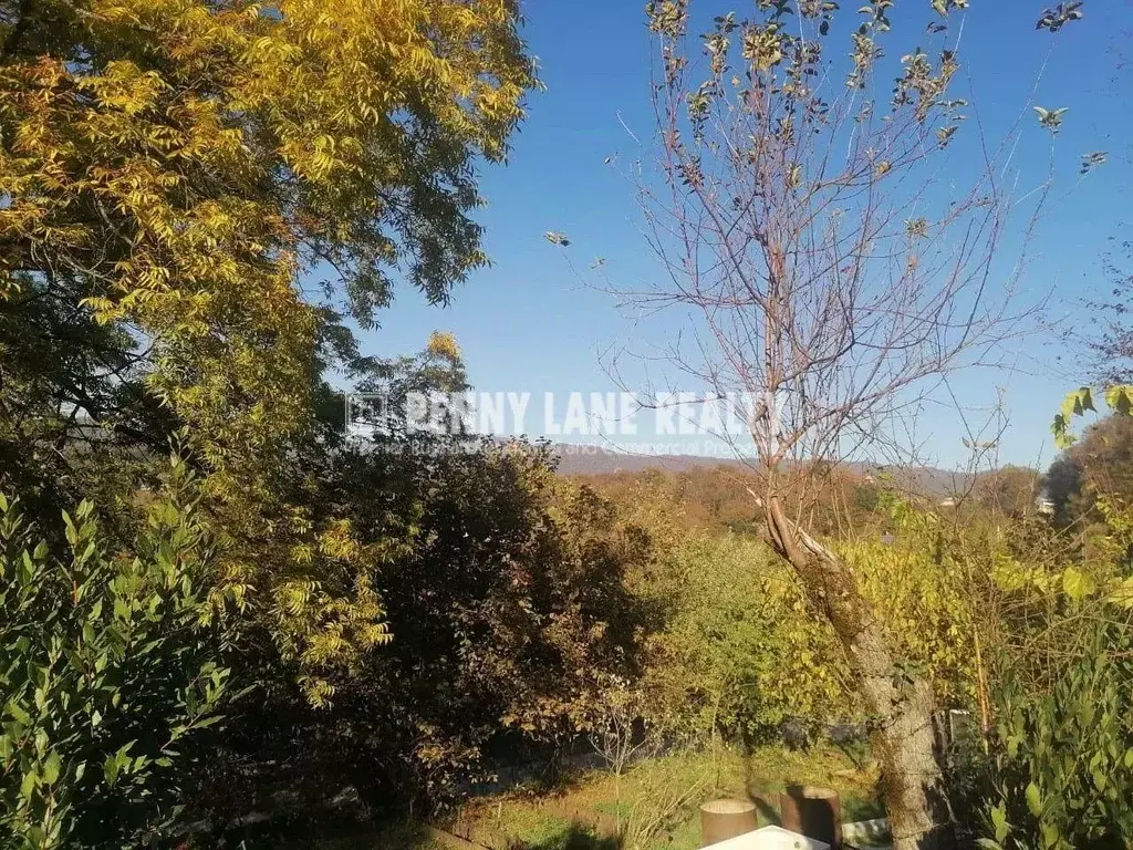 Участок в Краснодарский край, Сочи городской округ, с. Илларионовка ... - Фото 1